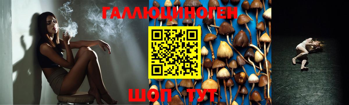 Галлюциногенные грибы GOLDEN TEACHER  Галлюциногенные грибы прущие грибы  Вход с VPN  Шебекино 